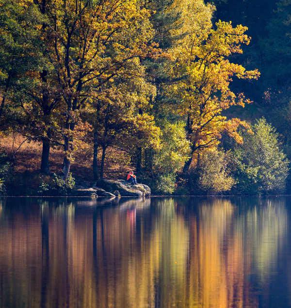 15 bức ảnh chứng minh cho sự quyến rũ khó cưỡng của mùa thu nước Đức - 2