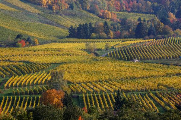 15 bức ảnh chứng minh cho sự quyến rũ khó cưỡng của mùa thu nước Đức - 3