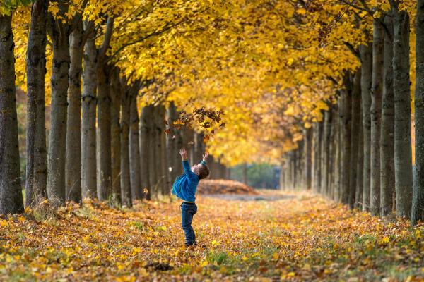 15 bức ảnh chứng minh cho sự quyến rũ khó cưỡng của mùa thu nước Đức - 4