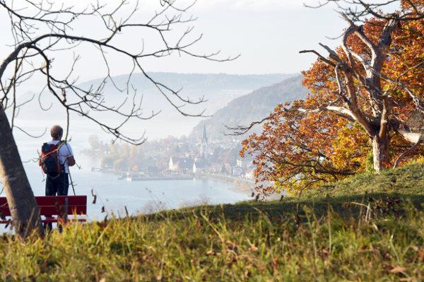 15 bức ảnh chứng minh cho sự quyến rũ khó cưỡng của mùa thu nước Đức - 5