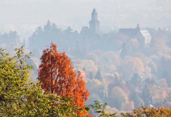 15 bức ảnh chứng minh cho sự quyến rũ khó cưỡng của mùa thu nước Đức - 10