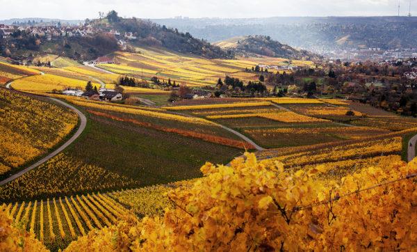 15 bức ảnh chứng minh cho sự quyến rũ khó cưỡng của mùa thu nước Đức - 7