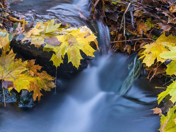 15 bức ảnh chứng minh cho sự quyến rũ khó cưỡng của mùa thu nước Đức - 12