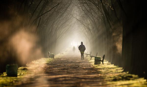 15 bức ảnh chứng minh cho sự quyến rũ khó cưỡng của mùa thu nước Đức - 14