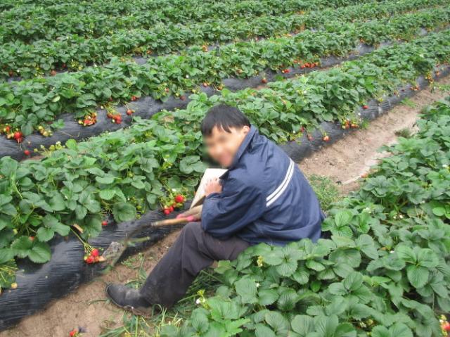 Chuyện buồn Việt Nam giữa nước Úc - 0 Chuyện buồn Việt Nam giữa nước Úc - 0