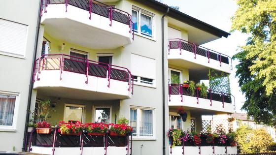 Người Việt ở Đức: Nơi thực phẩm không thiếu, nhưng thiếu rau thơm - 0 Người Việt ở Đức: Nơi thực phẩm không thiếu, nhưng thiếu rau thơm - 0