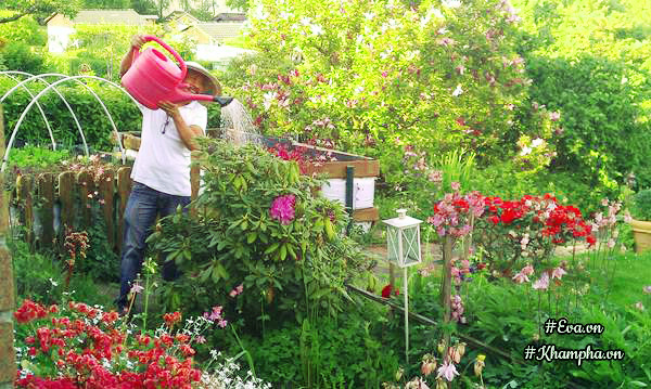 photo 6 1505206668561