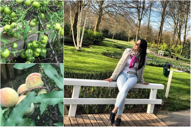 Mẹ Việt ở Đức biến 500m2 đất hoang thành khu vườn gì cũng có - 1 Mẹ Việt ở Đức biến 500m2 đất hoang thành khu vườn gì cũng có - 1