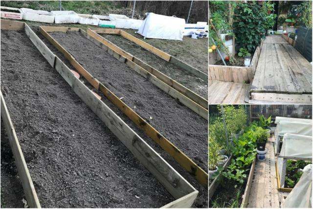 Mẹ Việt ở Đức biến 500m2 đất hoang thành khu vườn gì cũng có - 2 Mẹ Việt ở Đức biến 500m2 đất hoang thành khu vườn gì cũng có - 2