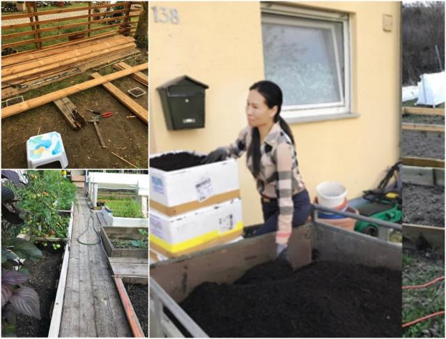 Mẹ Việt ở Đức biến 500m2 đất hoang thành khu vườn gì cũng có - 3 Mẹ Việt ở Đức biến 500m2 đất hoang thành khu vườn gì cũng có - 3