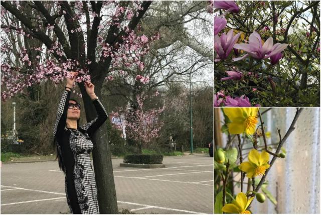 Mẹ Việt ở Đức biến 500m2 đất hoang thành khu vườn gì cũng có - 20 Mẹ Việt ở Đức biến 500m2 đất hoang thành khu vườn gì cũng có - 20