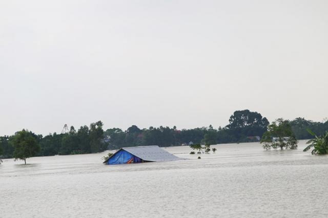 Nước mắt kẻ ăn rừng, nước mắt người vùng lũ - 0