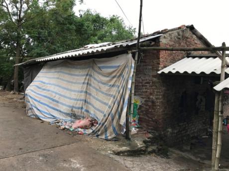 Vợ người đánh chết nghi can trộm chó bật khóc: Chồng tôi chỉ phòng thân, ai ngờ tai bay vạ gió - 1 Vợ người đánh chết nghi can trộm chó bật khóc: Chồng tôi chỉ phòng thân, ai ngờ tai bay vạ gió - 1