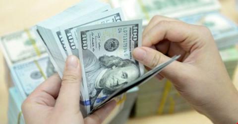 Hàng loạt đại gia Việt trong Hồ sơ Paradise vào tầm ngắm của Tổng cục Thuế - 0 Hàng loạt đại gia Việt trong Hồ sơ Paradise vào tầm ngắm của Tổng cục Thuế - 0