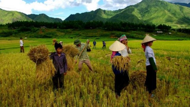 Năng suất lao động của Việt Nam thua kém cả Lào - 0