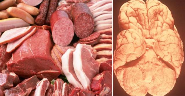 Làm gì trước thực trạng 100% mẫu thịt lợn, gà, vịt bị nhiễm khuẩn gây viêm não? - 0 Làm gì trước thực trạng 100% mẫu thịt lợn, gà, vịt bị nhiễm khuẩn gây viêm não? - 0