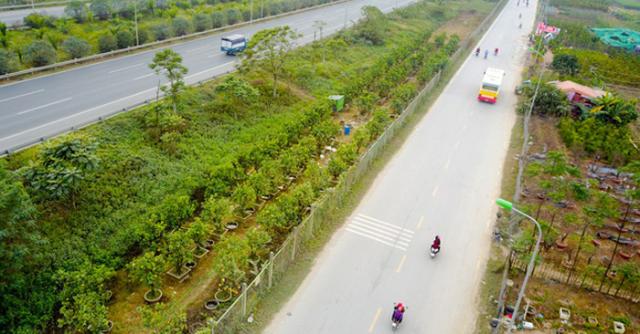 Người dân ở Hà Nội phá rào đường cao tốc để trồng rau, chăn bò - 0 Người dân ở Hà Nội phá rào đường cao tốc để trồng rau, chăn bò - 0
