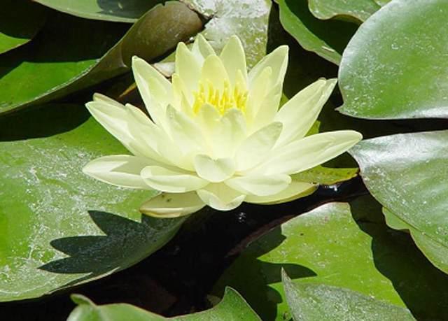 Tiền bạc chỉ là vật ngoài thân, danh dự mới là điều không thể đánh mất - 0 Tiền bạc chỉ là vật ngoài thân, danh dự mới là điều không thể đánh mất - 0