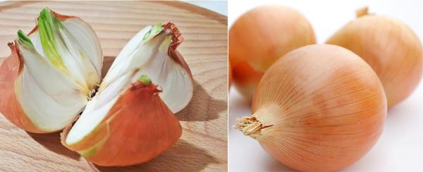 Vì sao người nước ngoài rất thích ăn hành tây? Chính là nhờ những công dụng tuyệt vời này - 0 Vì sao người nước ngoài rất thích ăn hành tây? Chính là nhờ những công dụng tuyệt vời này - 0