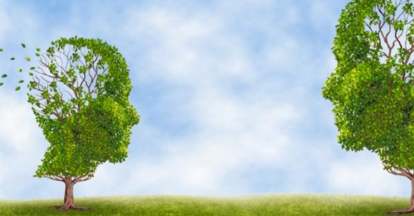 Trí tuệ lớn đến đâu cũng không thể bù đắp được lỗ hổng về đạo đức - 0 Trí tuệ lớn đến đâu cũng không thể bù đắp được lỗ hổng về đạo đức - 0