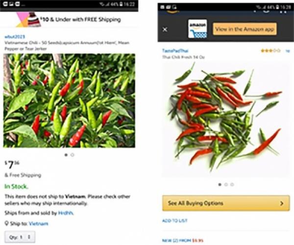 ‘Sửng sốt’ với ớt Việt được rao bán trên Amazon 670.000 đồng/kg - 0 ‘Sửng sốt’ với ớt Việt được rao bán trên Amazon 670.000 đồng/kg - 0