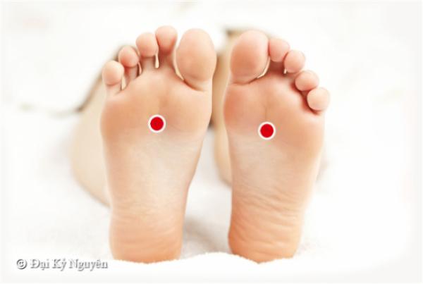 Tay không… chống lão hóa và giải độc cơ thể: Bí quyết chỉ có trong Đông y - 4 Tay không… chống lão hóa và giải độc cơ thể: Bí quyết chỉ có trong Đông y - 4