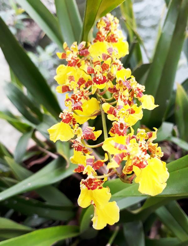 Còn 5 ngày nữa là Tết, đã bao lâu rồi bạn không về ăn cơm cùng mẹ? - 1 Còn 5 ngày nữa là Tết, đã bao lâu rồi bạn không về ăn cơm cùng mẹ? - 1