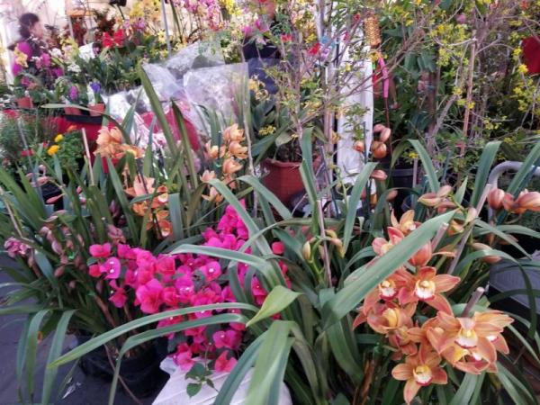 Người Việt hải ngoại biếu quà Tết: ‘Đơn giản’ và ‘không bắt buộc’ - 1 Người Việt hải ngoại biếu quà Tết: ‘Đơn giản’ và ‘không bắt buộc’ - 1