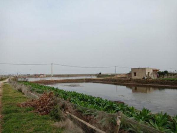 Vụ xin lại tiền hỗ trợ bão lụt: Hai bước kỷ luật - 0 Vụ xin lại tiền hỗ trợ bão lụt: Hai bước kỷ luật - 0