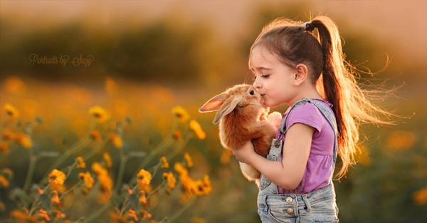 Vì sao tha thứ không phải ban ơn cho người khác mà là tạo phúc cho chính mình? - 0 Vì sao tha thứ không phải ban ơn cho người khác mà là tạo phúc cho chính mình? - 0