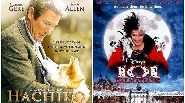 Top 7 bộ phim cảm động về loài chó - 0 Top 7 bộ phim cảm động về loài chó - 0