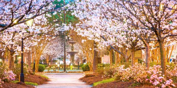 7 địa điểm ngắm hoa anh đào lý tưởng trên thế giới - 6 7 địa điểm ngắm hoa anh đào lý tưởng trên thế giới - 6