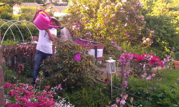 Ông bố Việt sở hữu vườn rau sạch ăn quanh năm không hết ở Đức - 12 Ông bố Việt sở hữu vườn rau sạch ăn quanh năm không hết ở Đức - 12