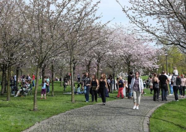 Khoảng 25.000 du khách đến Lễ hội Hoa Anh đào lần 12 ở Berlin - 0 Khoảng 25.000 du khách đến Lễ hội Hoa Anh đào lần 12 ở Berlin - 0