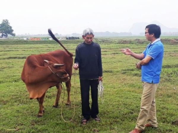 Chuyện động trời ở Thanh Hóa: Chăn thả trâu, bò phải nộp phí... cỏ - 0 Chuyện động trời ở Thanh Hóa: Chăn thả trâu, bò phải nộp phí... cỏ - 0