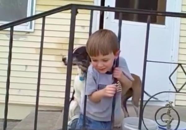 Đầu của con trai bị mắc kẹt, cha không cứu được, không ngờ con lại nghĩ ra cách rất thông minh - 4 Đầu của con trai bị mắc kẹt, cha không cứu được, không ngờ con lại nghĩ ra cách rất thông minh - 4