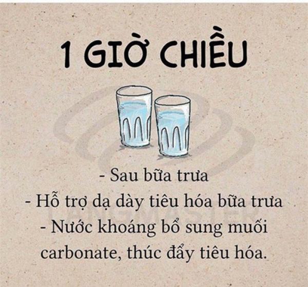Cách uống nước giúp bạn khỏe mạnh, xinh đẹp, giảm cân hiệu quả - 3 Cách uống nước giúp bạn khỏe mạnh, xinh đẹp, giảm cân hiệu quả - 3