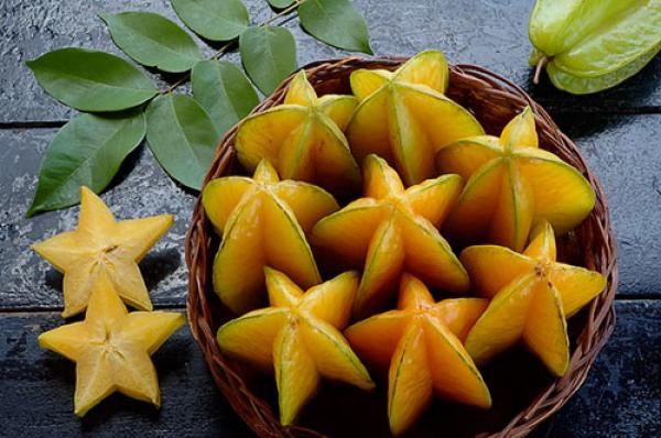 10 món ăn nguy hiểm nhất thế giới, 7 món có ở Việt Nam - 5 10 món ăn nguy hiểm nhất thế giới, 7 món có ở Việt Nam - 5