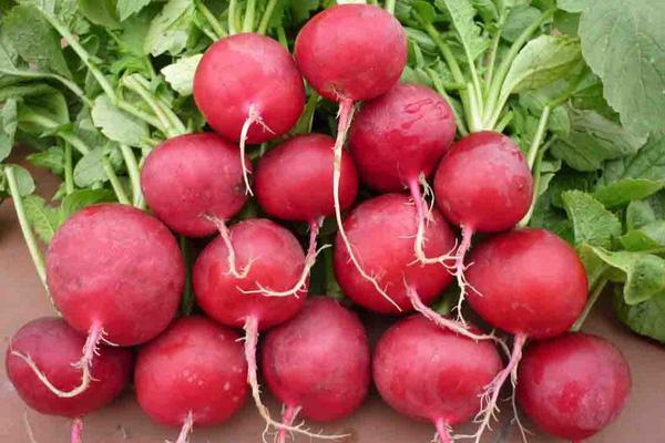 12 siêu thực phẩm giúp tăng cường sức mạnh não bộ, giúp bạn luôn minh mẫn, đẩy lùi lão hóa - 10 12 siêu thực phẩm giúp tăng cường sức mạnh não bộ, giúp bạn luôn minh mẫn, đẩy lùi lão hóa - 10
