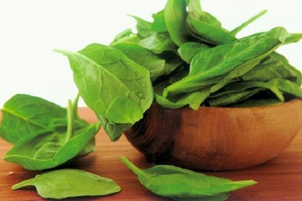12 siêu thực phẩm giúp tăng cường sức mạnh não bộ, giúp bạn luôn minh mẫn, đẩy lùi lão hóa - 6 12 siêu thực phẩm giúp tăng cường sức mạnh não bộ, giúp bạn luôn minh mẫn, đẩy lùi lão hóa - 6