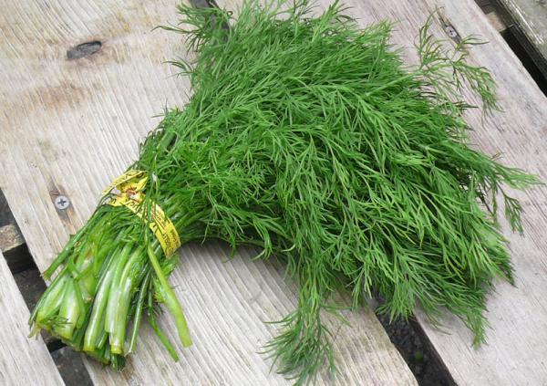 3 loại rau thơm bình dân nhưng có dược tính mạnh mẽ nhất - 1 3 loại rau thơm bình dân nhưng có dược tính mạnh mẽ nhất - 1
