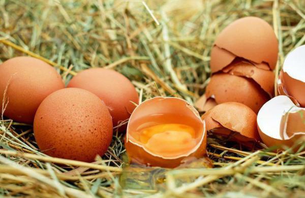 Chuyên gia khẳng định: Ăn trứng gà theo cách này, lợi ích thì ít mà tác hại vô cùng lớn - 3 Chuyên gia khẳng định: Ăn trứng gà theo cách này, lợi ích thì ít mà tác hại vô cùng lớn - 3