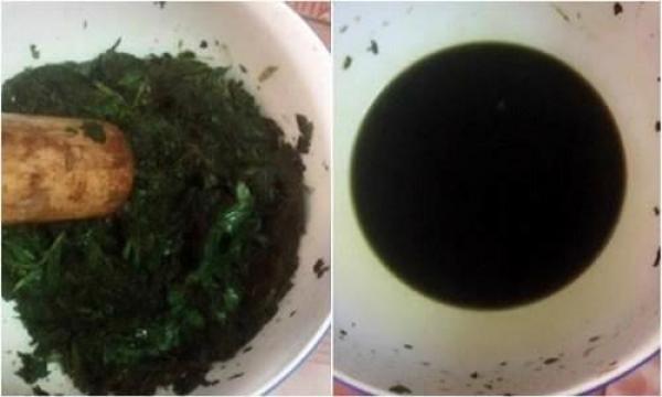 Giã nát nắm lá tía tô rồi đắp mặt 7 ngày liền, nám, tàn nhang chi chít hay mụn quanh mắt cũng mờ hẳn - 2 Giã nát nắm lá tía tô rồi đắp mặt 7 ngày liền, nám, tàn nhang chi chít hay mụn quanh mắt cũng mờ hẳn - 2
