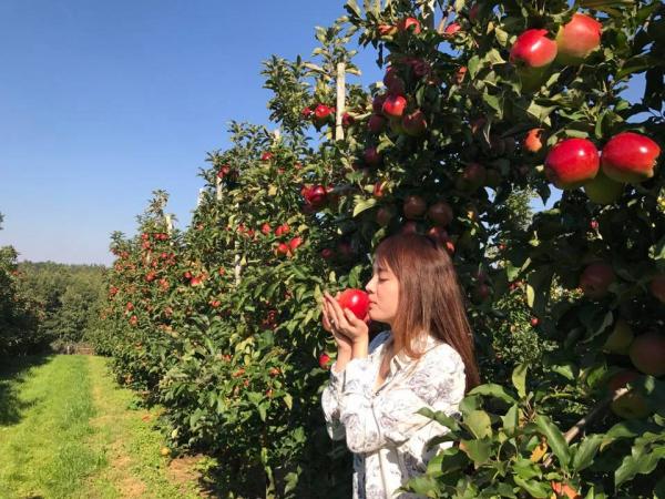 Mẹ đơn thân Việt kiều tay trắng nuôi 2 con sau sóng gió hôn nhân - 7 Mẹ đơn thân Việt kiều tay trắng nuôi 2 con sau sóng gió hôn nhân - 7