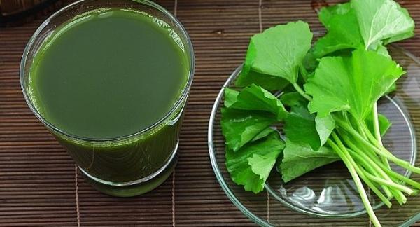 Một nhúm rau má mỗi ngày giúp đẩy lùi căng thẳng, tốt cho tim mạch - 0 Một nhúm rau má mỗi ngày giúp đẩy lùi căng thẳng, tốt cho tim mạch - 0