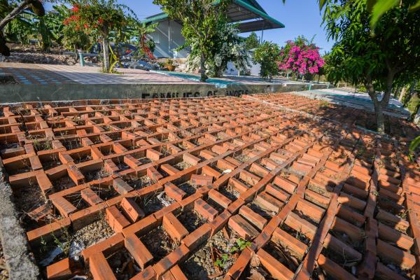 Người cha của 20 đứa trẻ cưu mang 200 bà bầu - 28 Người cha của 20 đứa trẻ cưu mang 200 bà bầu - 28