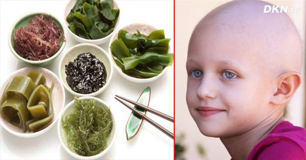 Những lợi ích kỳ diệu của rong biển: Chống ung thư, tăng cường tuyến giáp… và nhiều hơn nữa - 0 Những lợi ích kỳ diệu của rong biển: Chống ung thư, tăng cường tuyến giáp… và nhiều hơn nữa - 0