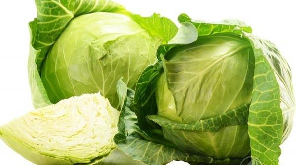 Tại sao bắp cải được ví như ‘người công nhân thu gom rác thải cho mạch máu’? - 2 Tại sao bắp cải được ví như ‘người công nhân thu gom rác thải cho mạch máu’? - 2