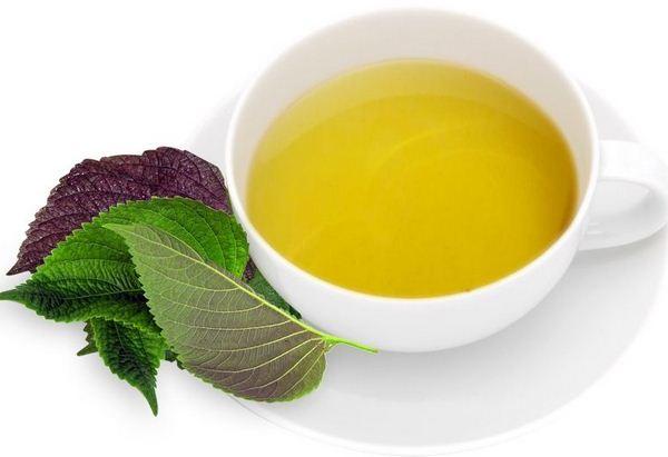 Tía tô – chấm dứt cơn đau gút sau 30 phút, ai bị gút thì đọc gấp! - 1 Tía tô – chấm dứt cơn đau gút sau 30 phút, ai bị gút thì đọc gấp! - 1
