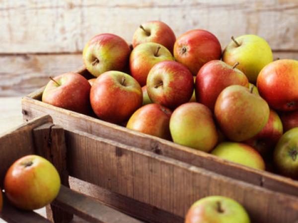 Cách người mẹ chia táo đã tạo nên cuộc đời một trời một vực của hai đứa trẻ - 1